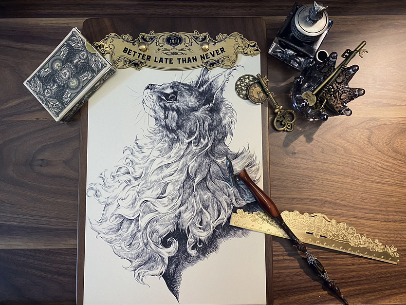 【ＤＫ】仰望星空✨