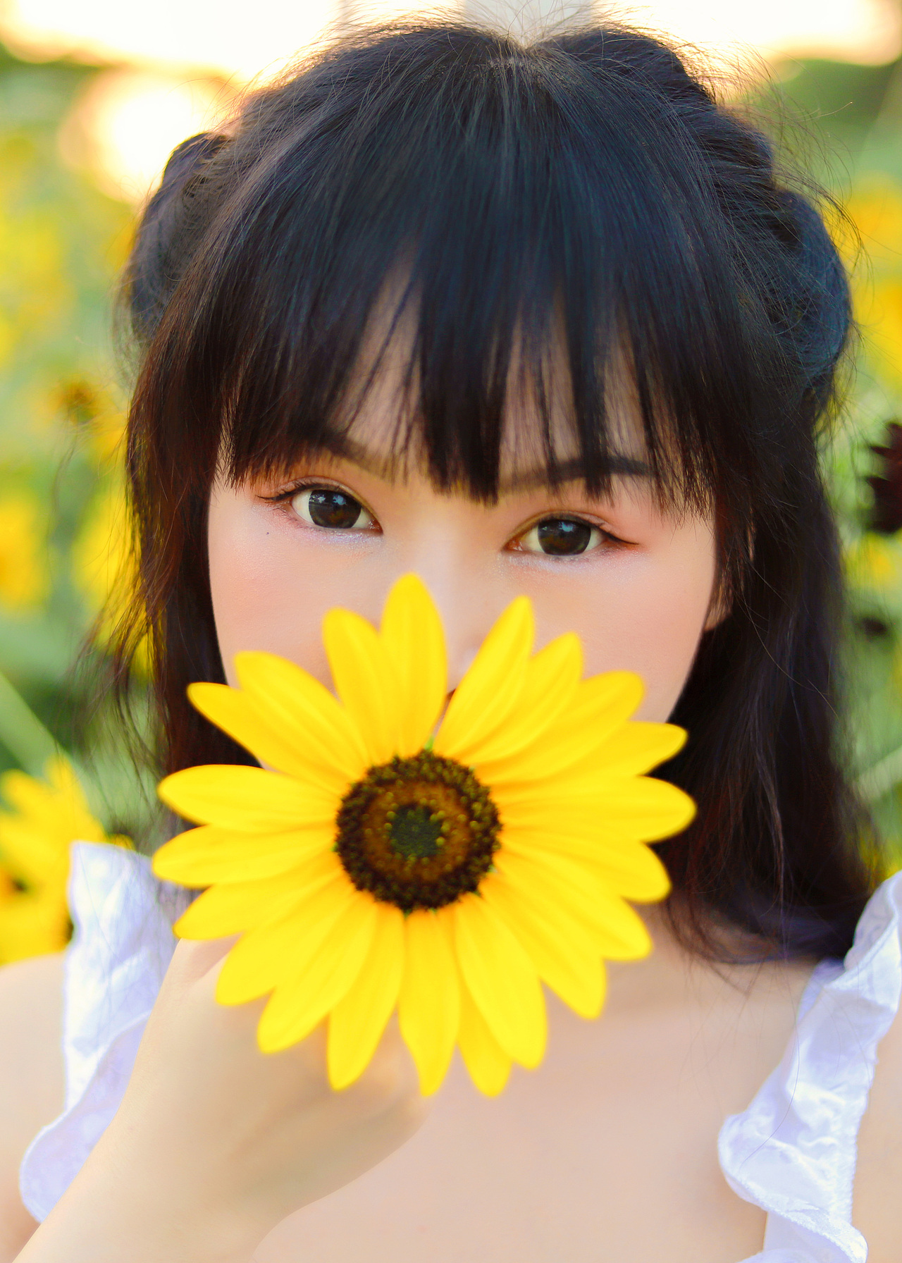 太阳花（图ZMjEzMTUxNDIw） - 人像摄影 - 站酷设计师肖新新原创素材 - 站酷ZCOOL