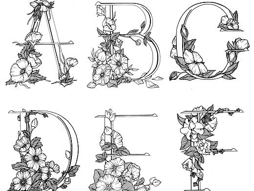 字母、数字与花