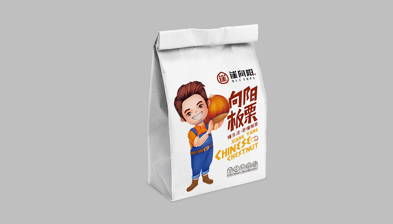 板栗包装(崔向阳品牌)