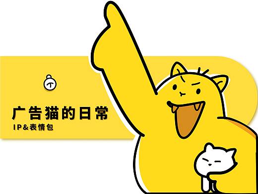 广告猫的日常