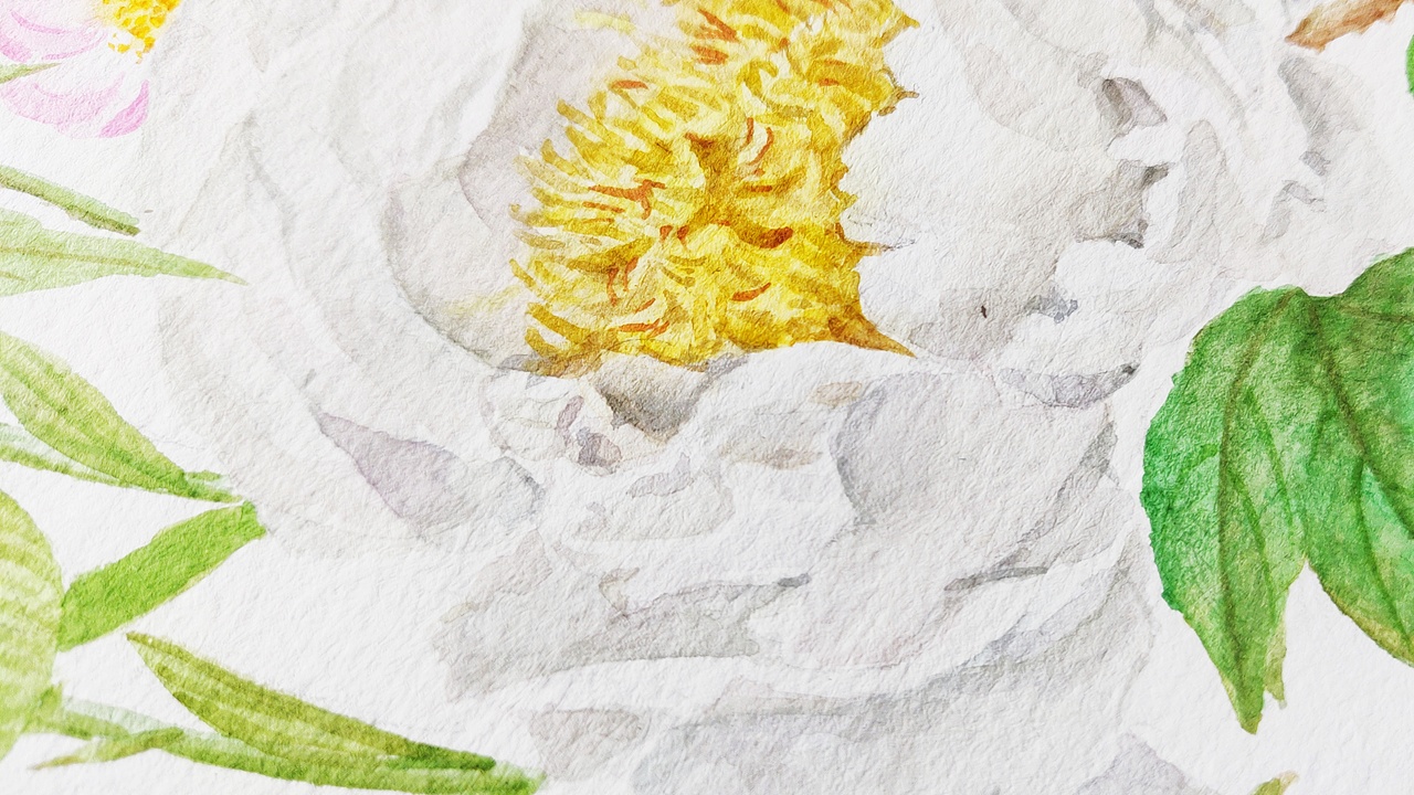 十二月花神之四月花神 牡丹花 芍药 蔷薇花(图ZMjUzNTQ0OTQ0) - 绘本 - 站酷设计师淂淇原创素材 - 站酷ZCOOL