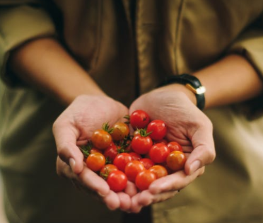 零零三的個人主頁（背景預覽） - 主頁背景設(shè)置 - 站酷設(shè)計師零零三原創(chuàng)素材 - 站酷ZCOOL