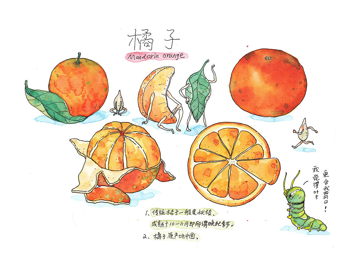 《水果的秘密》（图ZMjgxMTU0Njky） - 创作习作 - 站酷设计师灰猫大米原创素材 - 站酷ZCOOL