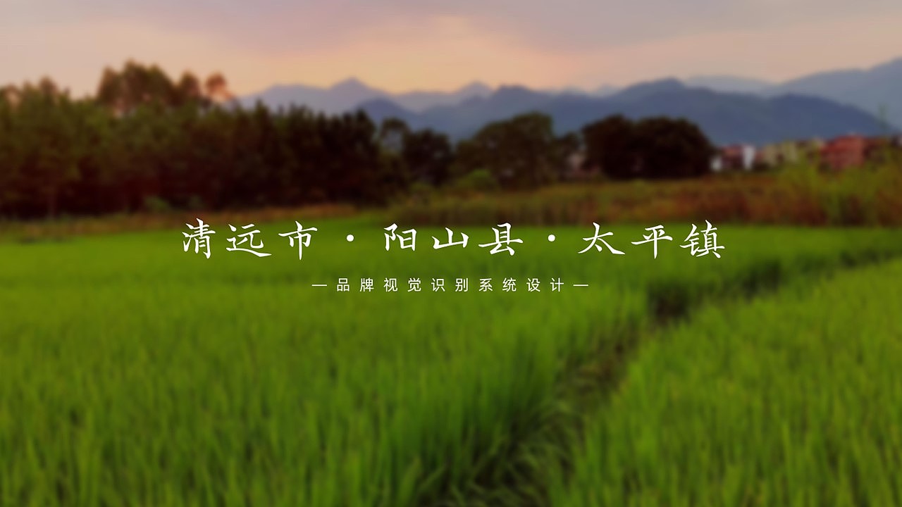 广东省清远市阳山县太平镇区域文创品牌设计