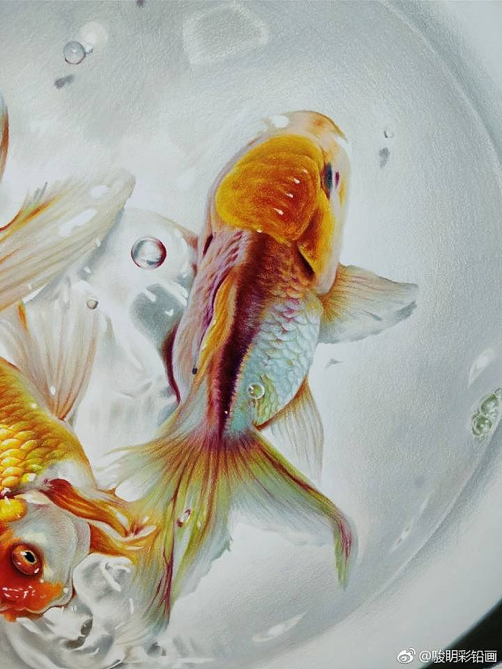 17年完成的彩铅画