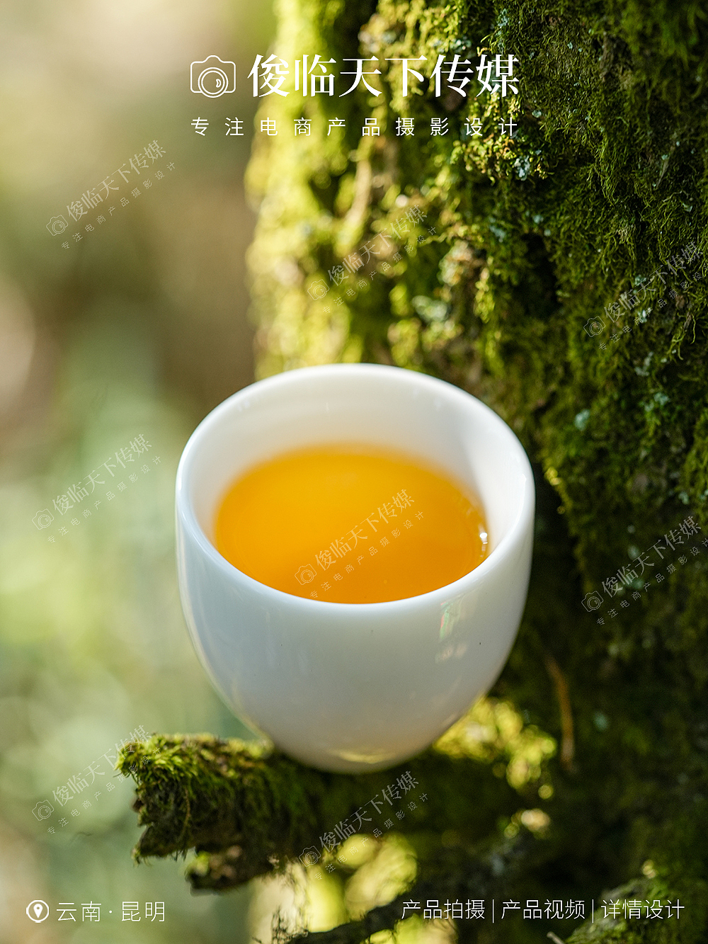 ★最近摄影案例★贺开熟茶饼礼盒