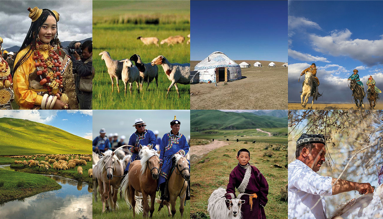 【风声视觉案例】游牧羊杂品牌VI设计