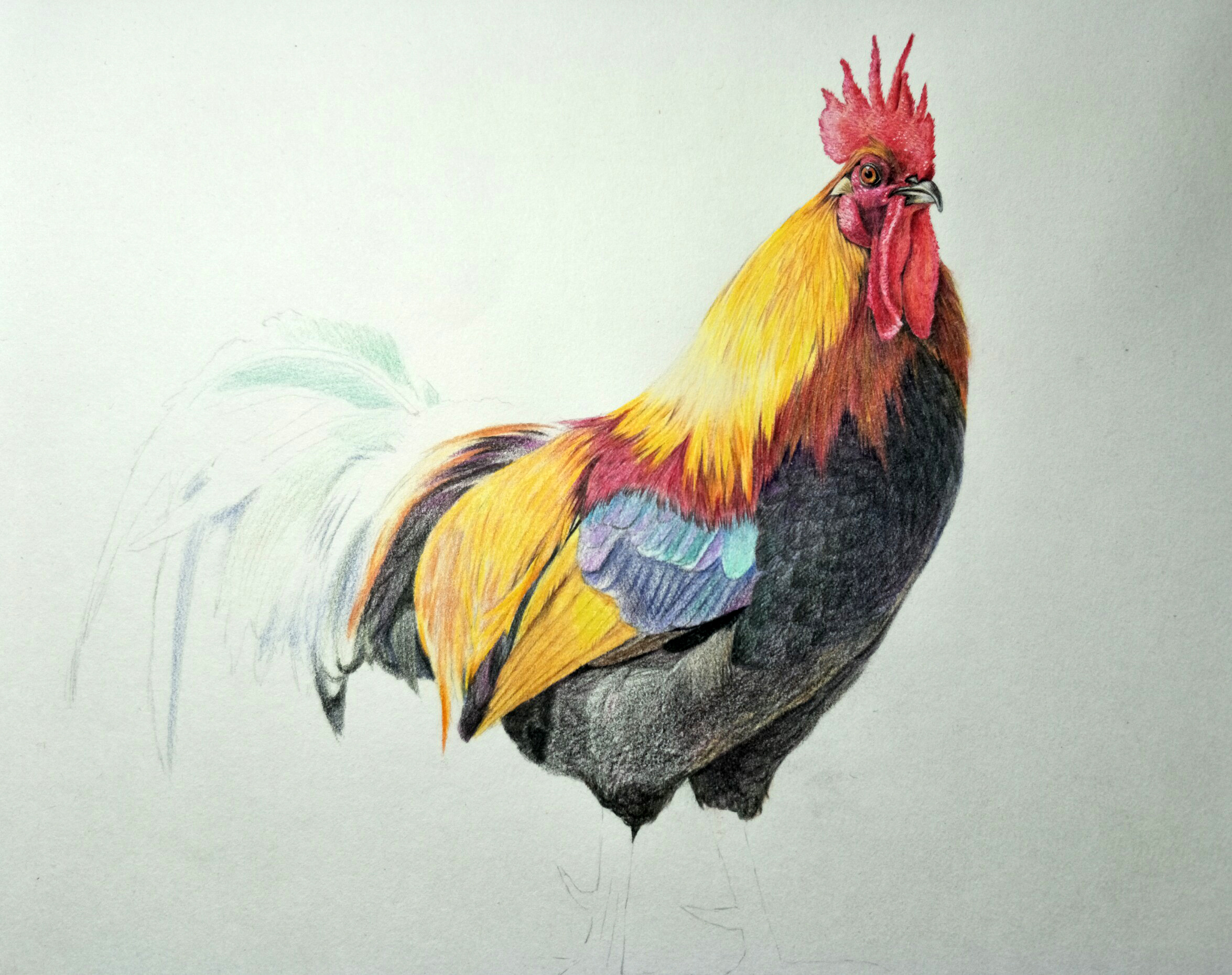 中国风水彩画作品宣传一只跳跃的公鸡免抠PNG素材