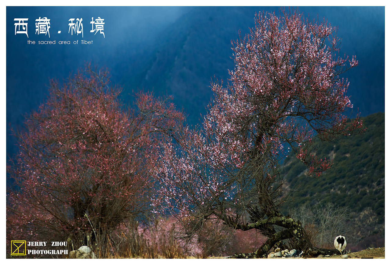 西藏密境（图ZMjE0NTM4NjA=） - 风光摄影 - 站酷设计师盈门先生原创素材 - 站酷ZCOOL