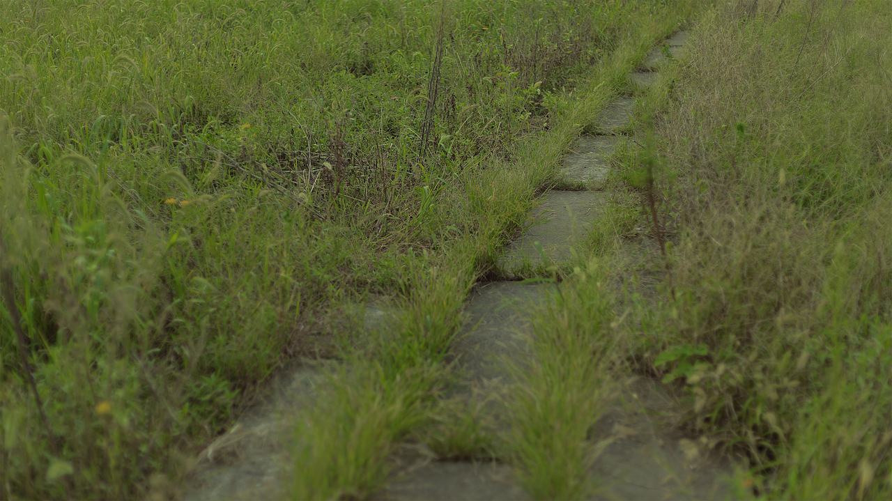 《乡野》（图ZMjY4NDQ5OTM2） - 人像摄影 - 站酷设计师拉丨苏原创素材 - 站酷ZCOOL