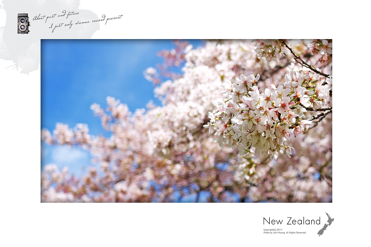 New Zealand 新西兰明信片（图ZNzY5NTU2OA==） - 风光摄影 - 站酷设计师jolinivy原创素材 - 站酷ZCOOL