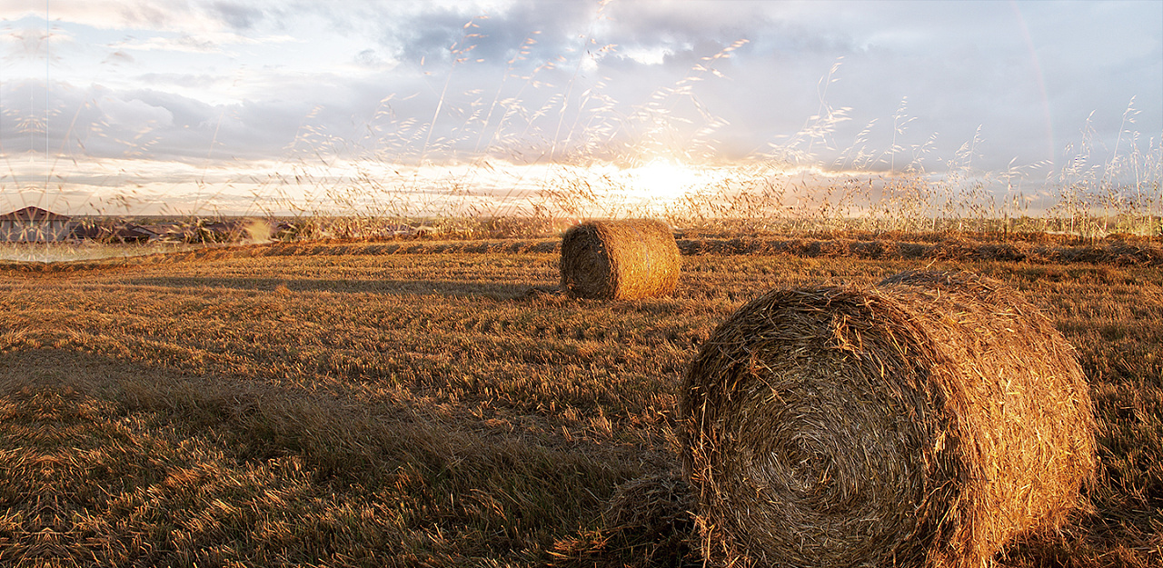 乡土气息海报附psd