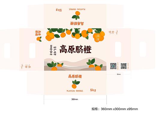 水果外包装纸箱天地盖