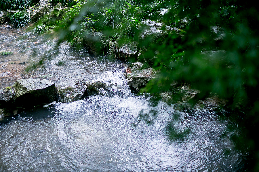 雨中杭州植物园