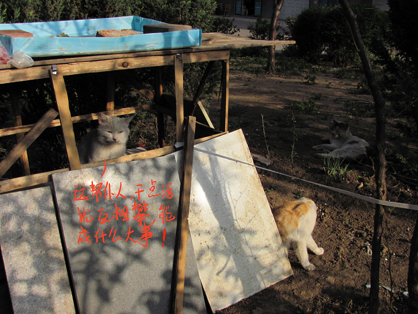 我结交了一群新朋友（图ZMjc2MjE1NTY=） - 文案/策划 - 站酷设计师画师x如也原创素材 - 站酷ZCOOL