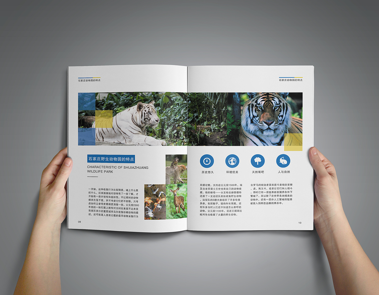 动物园画册（图ZNjk1OTUwNjQ=） - 书籍/画册 - 站酷设计师猫小曼原创素材 - 站酷ZCOOL