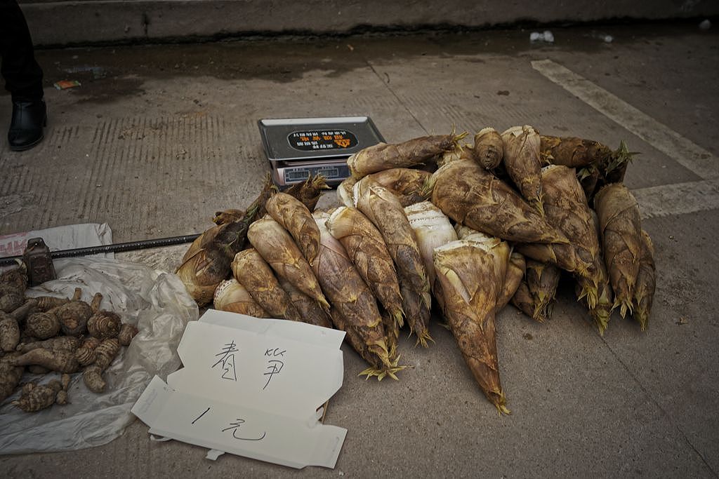 [革命老区于都新陂圩]