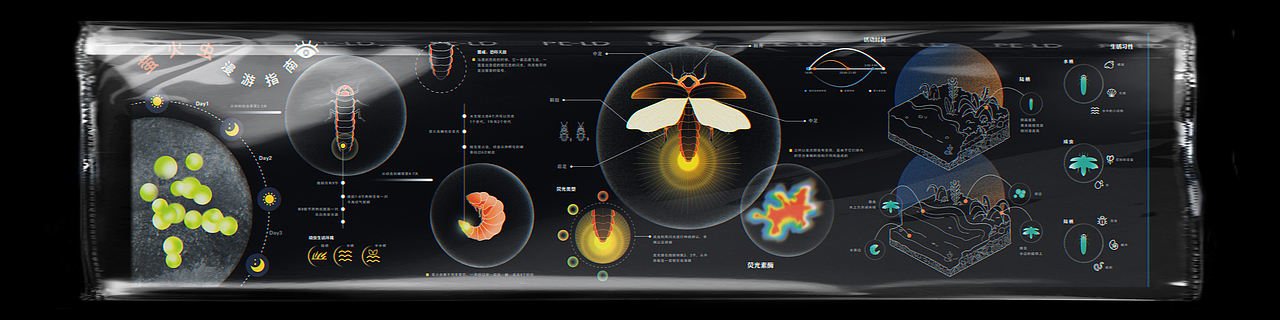 《萤火虫漫游指南》信息图表（图ZMzQyMDMyMjg4） - 信息图表 - 站酷设计师NYJJJY原创素材 - 站酷ZCOOL
