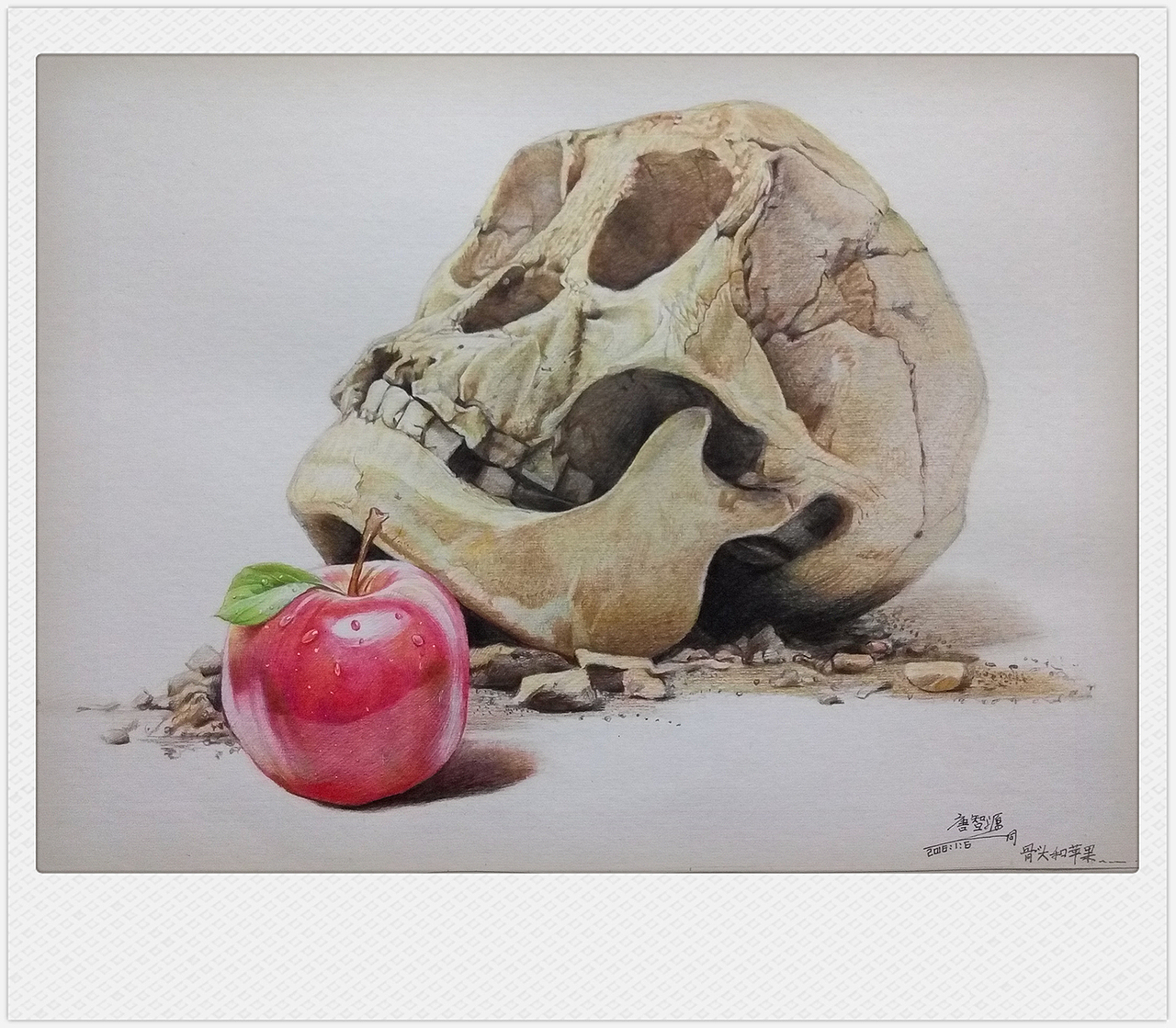 《骨头和苹果》...