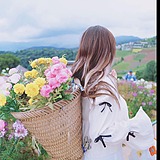 大发星06的头像