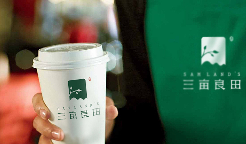 "三亩良田"LOGO设计飞机案例