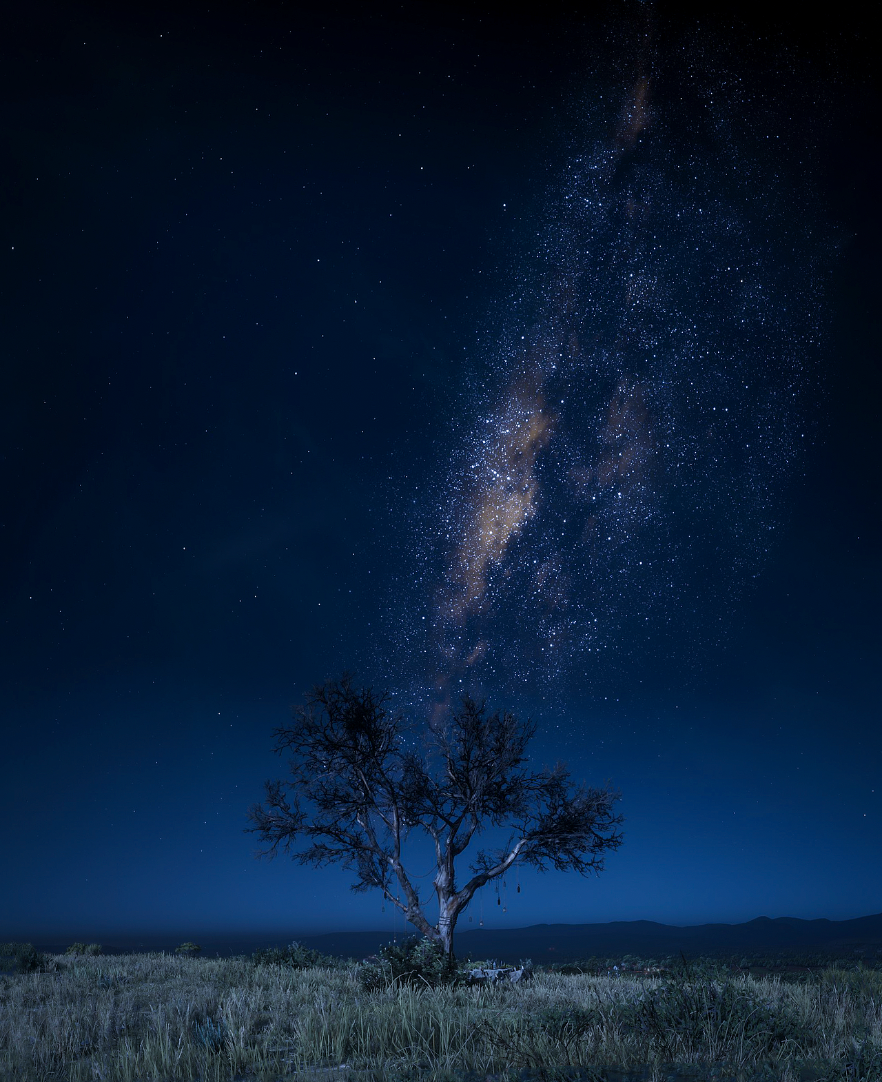 荒野大镖客星空