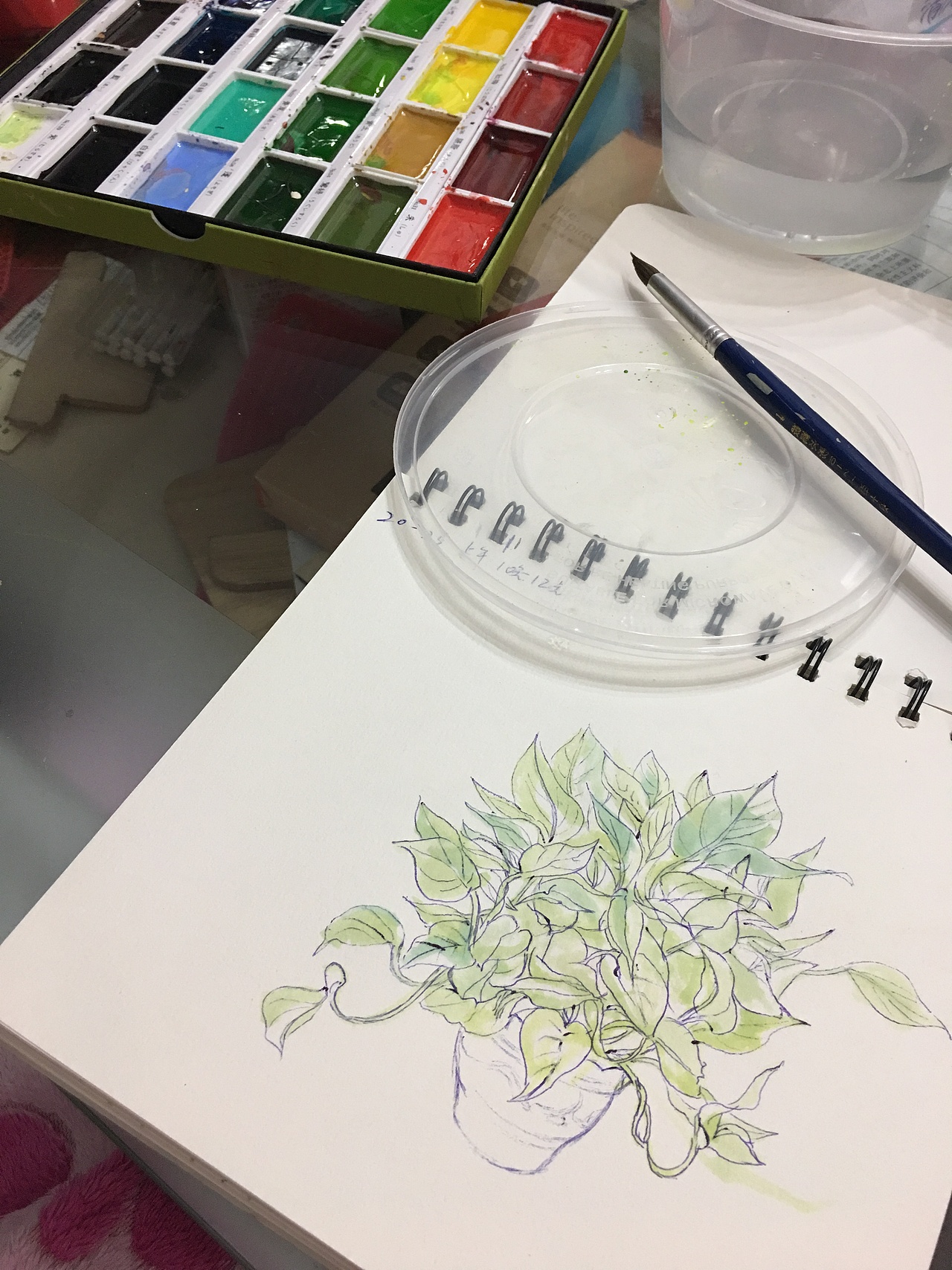 綠籮（圖ZNjgwOTgwMjQ=） - 創(chuàng)作習(xí)作 - 站酷設(shè)計(jì)師羽微藍(lán)原創(chuàng)素材 - 站酷ZCOOL