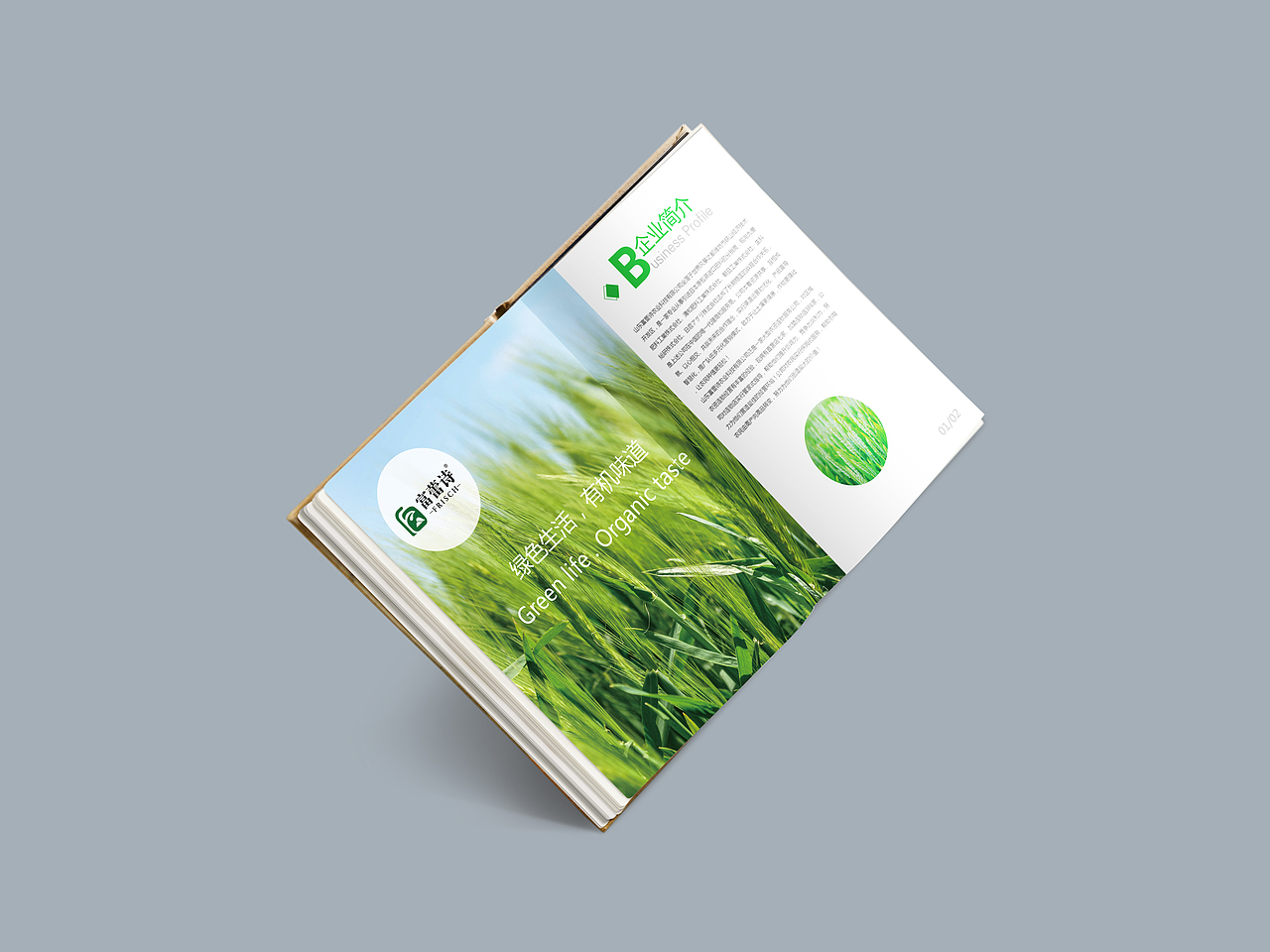 农业画册（图ZMTk5ODUyMDEy） - 海报 - 站酷设计师哎呦庞庞原创素材 - 站酷ZCOOL