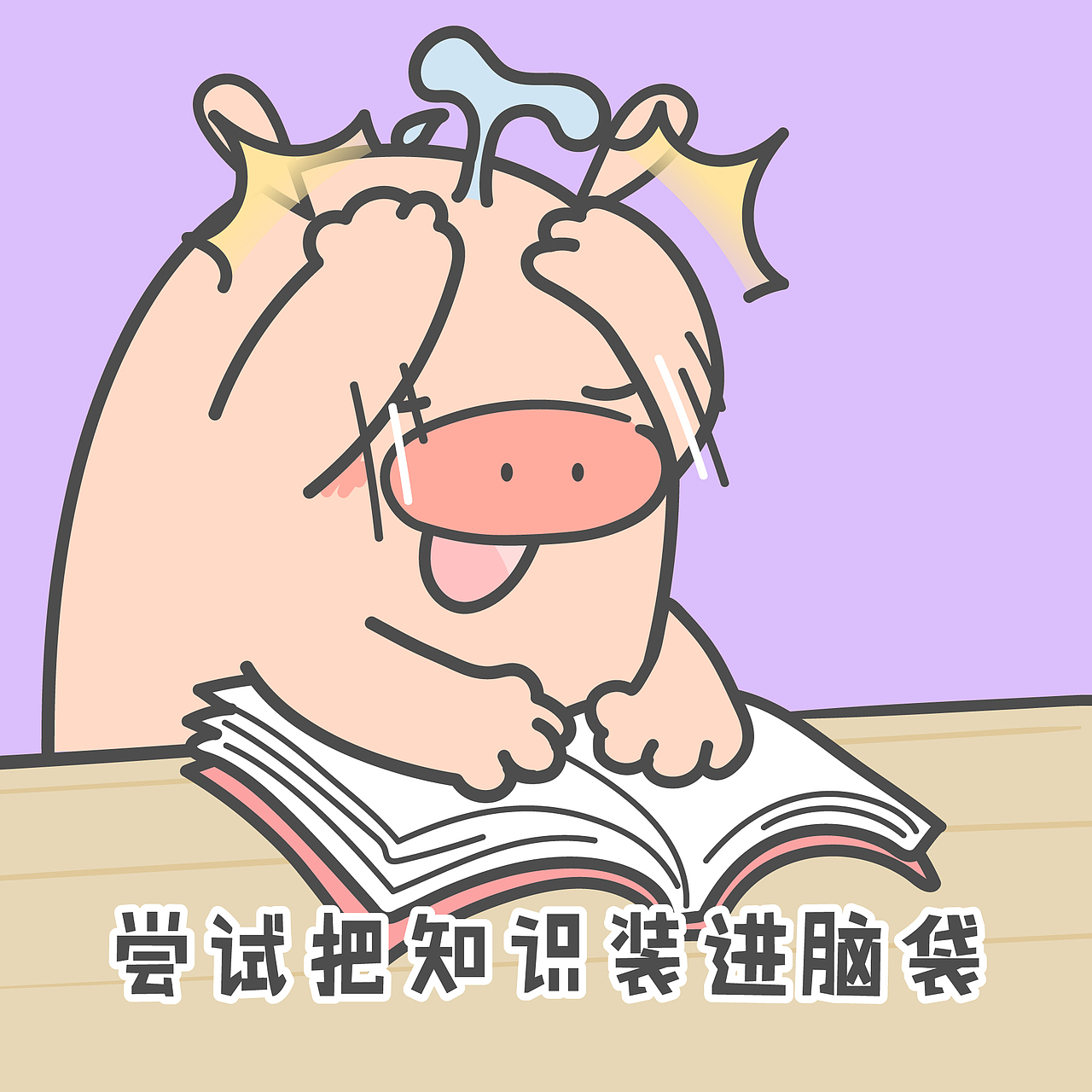 【小狮子赛几】期末表情包