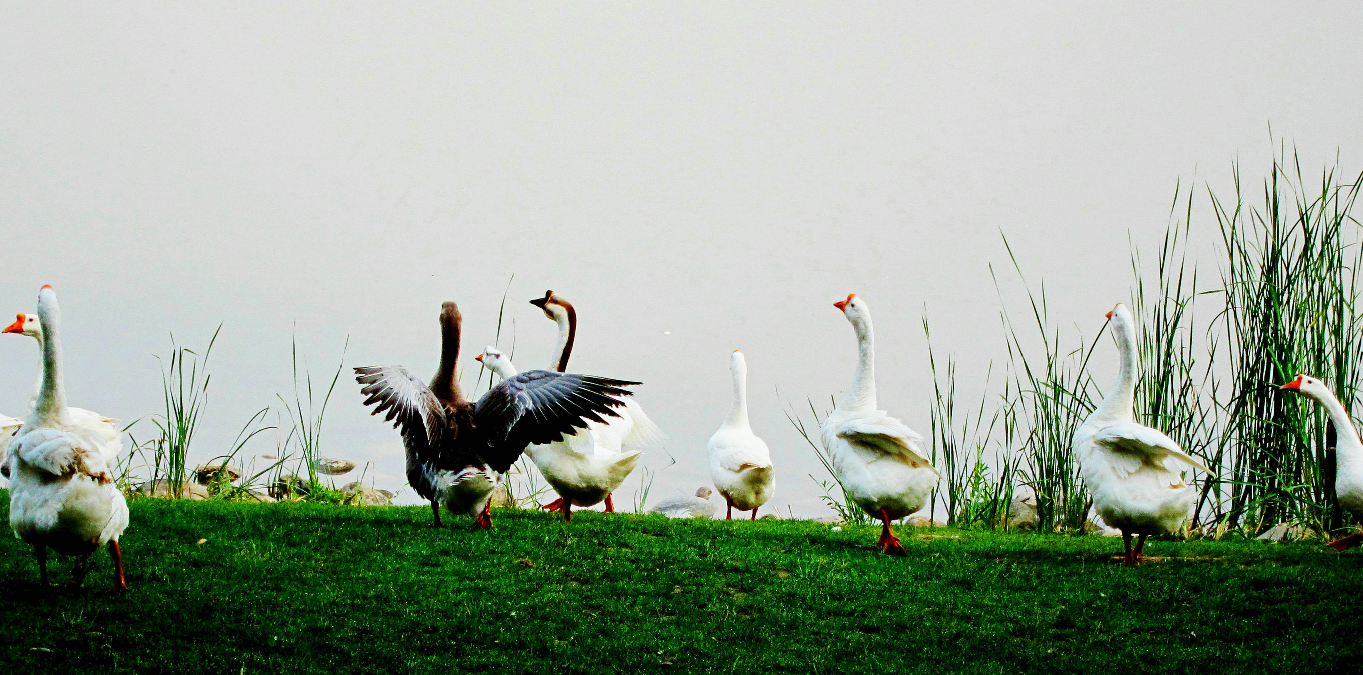十年设计路的个人主页（封面预览） - 主页封面设置 - 站酷设计师十年设计路原创素材 - 站酷ZCOOL