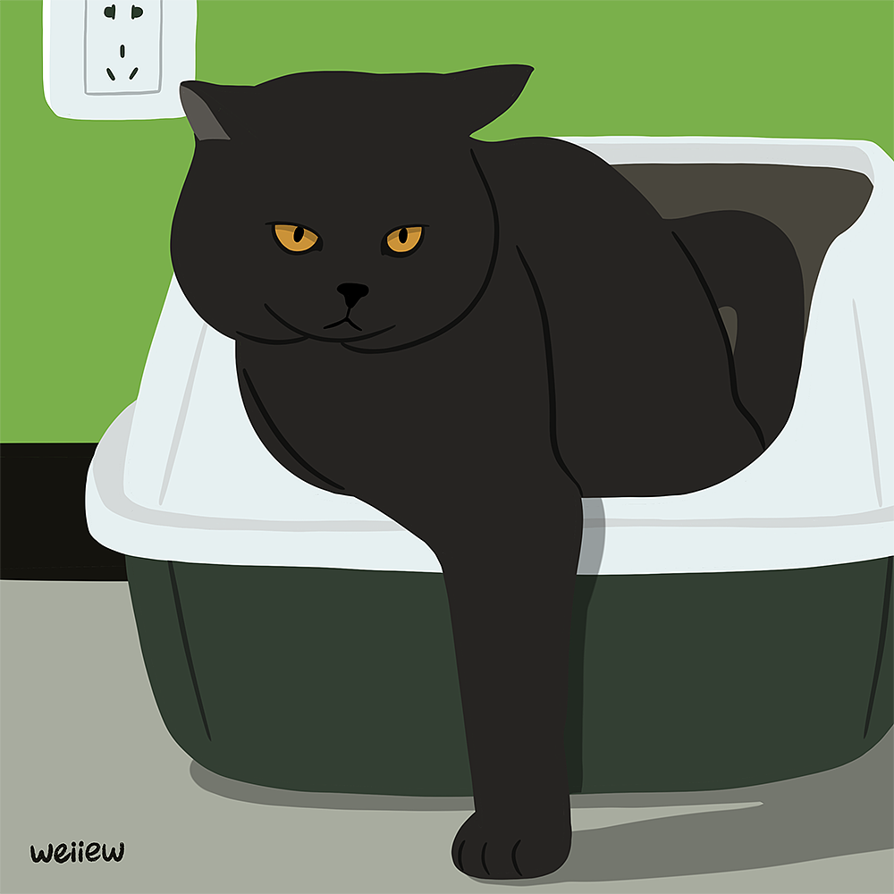 2021画的猫（图ZMjgzNTE4ODU2） - 艺术插画 - 站酷设计师童壮壮weiiew原创素材 - 站酷ZCOOL