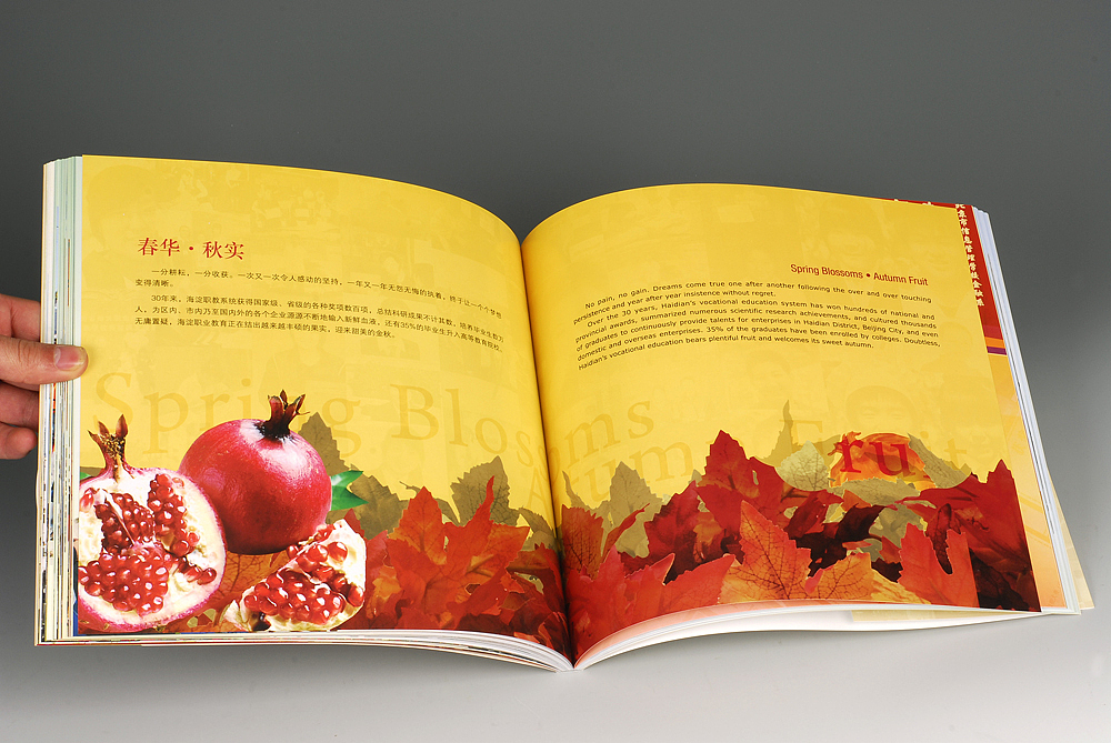 海淀区职业教育30年纪念画册（图ZNTQ1NDgwOA==） - 其他平面 - 站酷设计师正视文化原创素材 - 站酷ZCOOL