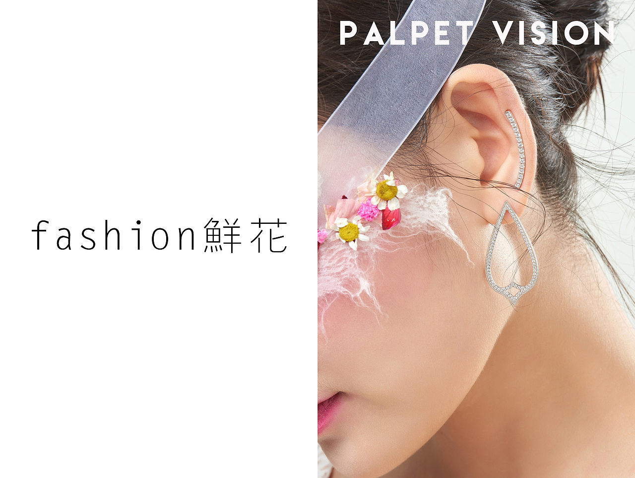 终于跨界了一次，猫咪&珠宝摄影作品