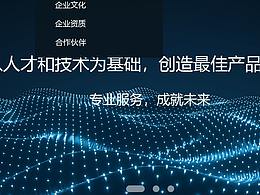 企業(yè)官網(wǎng)