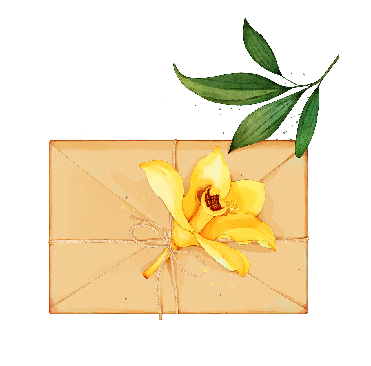 鱼兮手绘ps水彩花卉信封里的花（图ZMjE1OTYwMDky） - 创作习作 - 站酷设计师鱼兮水彩原创素材 - 站酷ZCOOL