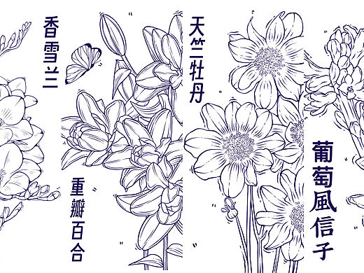 一组花卉线稿