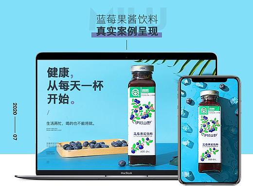 蓝莓果酱饮料 电商详情页设计/哲信/共扬/营销策划