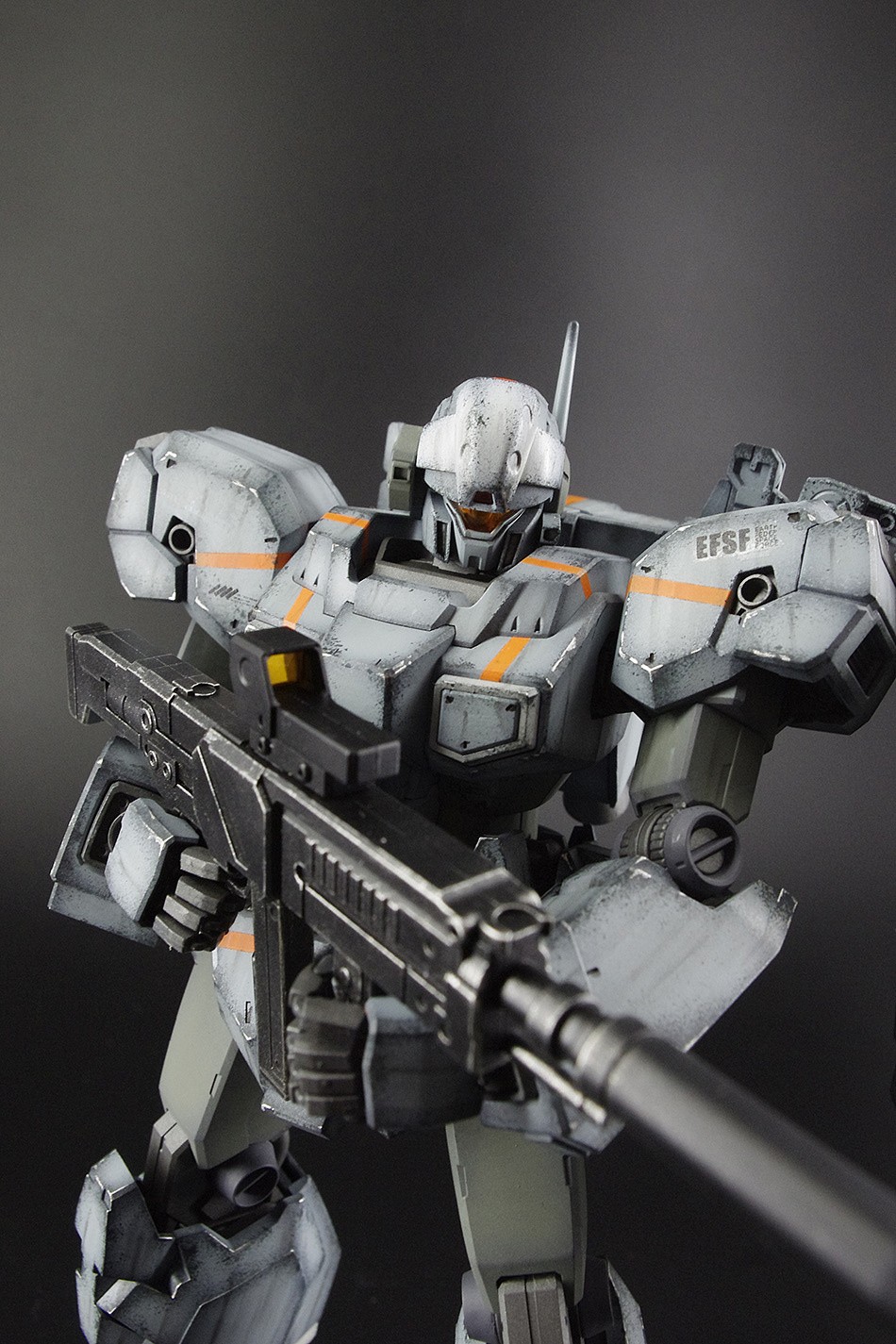 杰斯塔联邦正规涂装