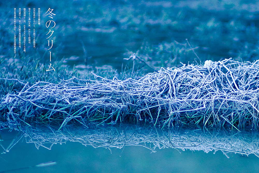 《冬季的霜》（图ZMTM0MzIyODQ=） - 风光摄影 - 站酷设计师michaelpst原创素材 - 站酷ZCOOL