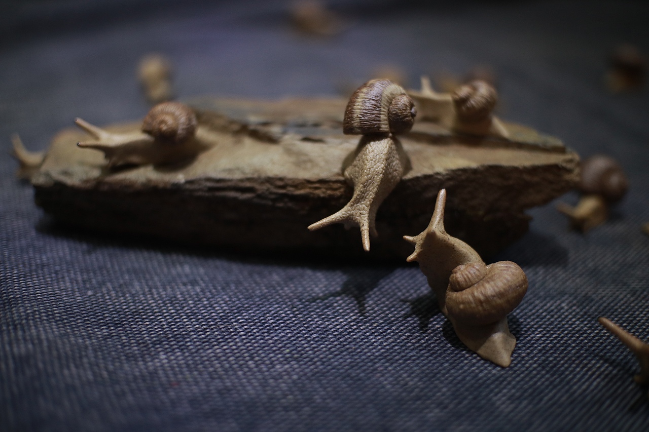 [z加油]（圖ZMTIxMzMzMDgw） - 其他手工藝 - 站酷設(shè)計(jì)師樂亦123原創(chuàng)素材 - 站酷ZCOOL