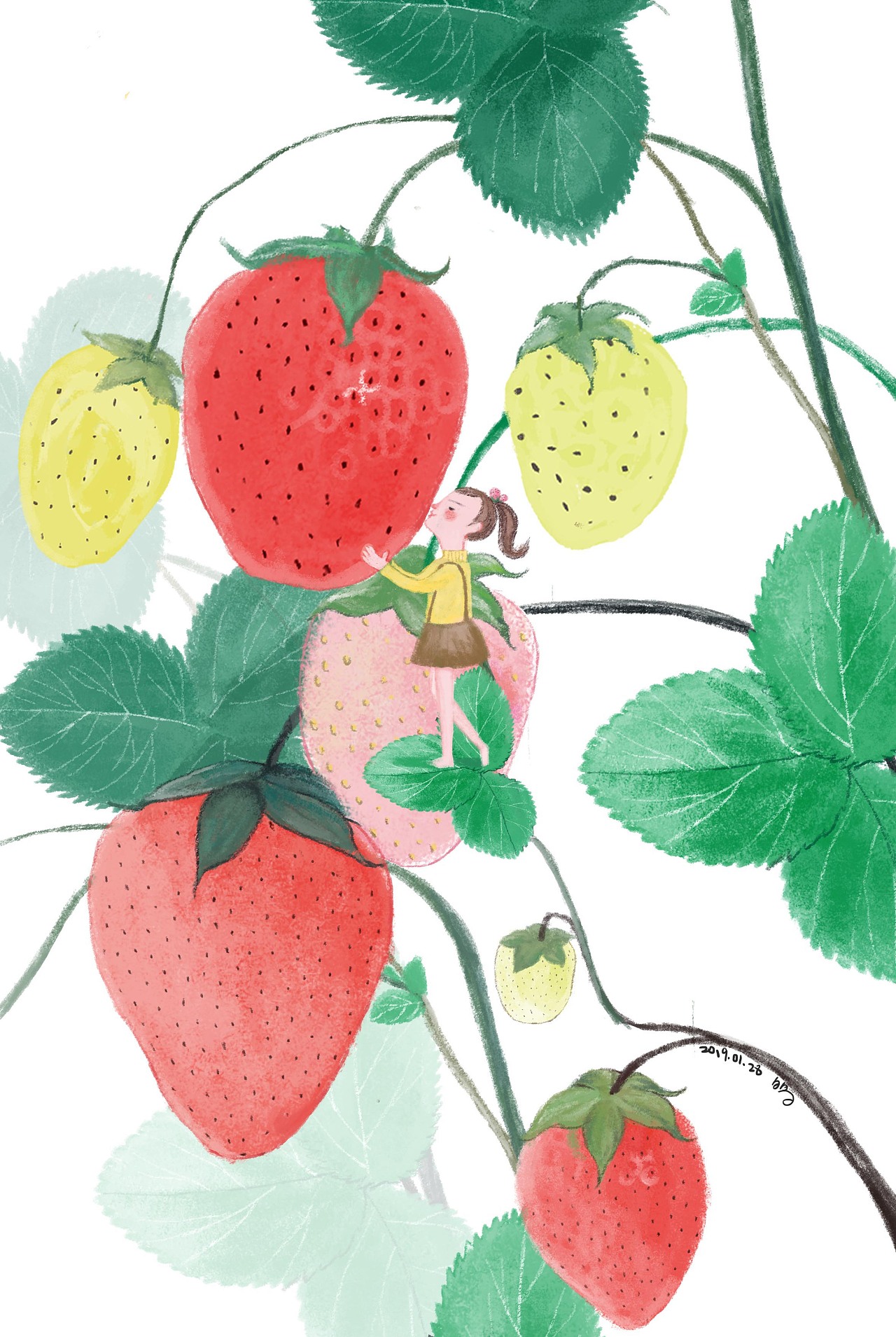 新鲜的草莓手绘插画图片-图行天下素材网