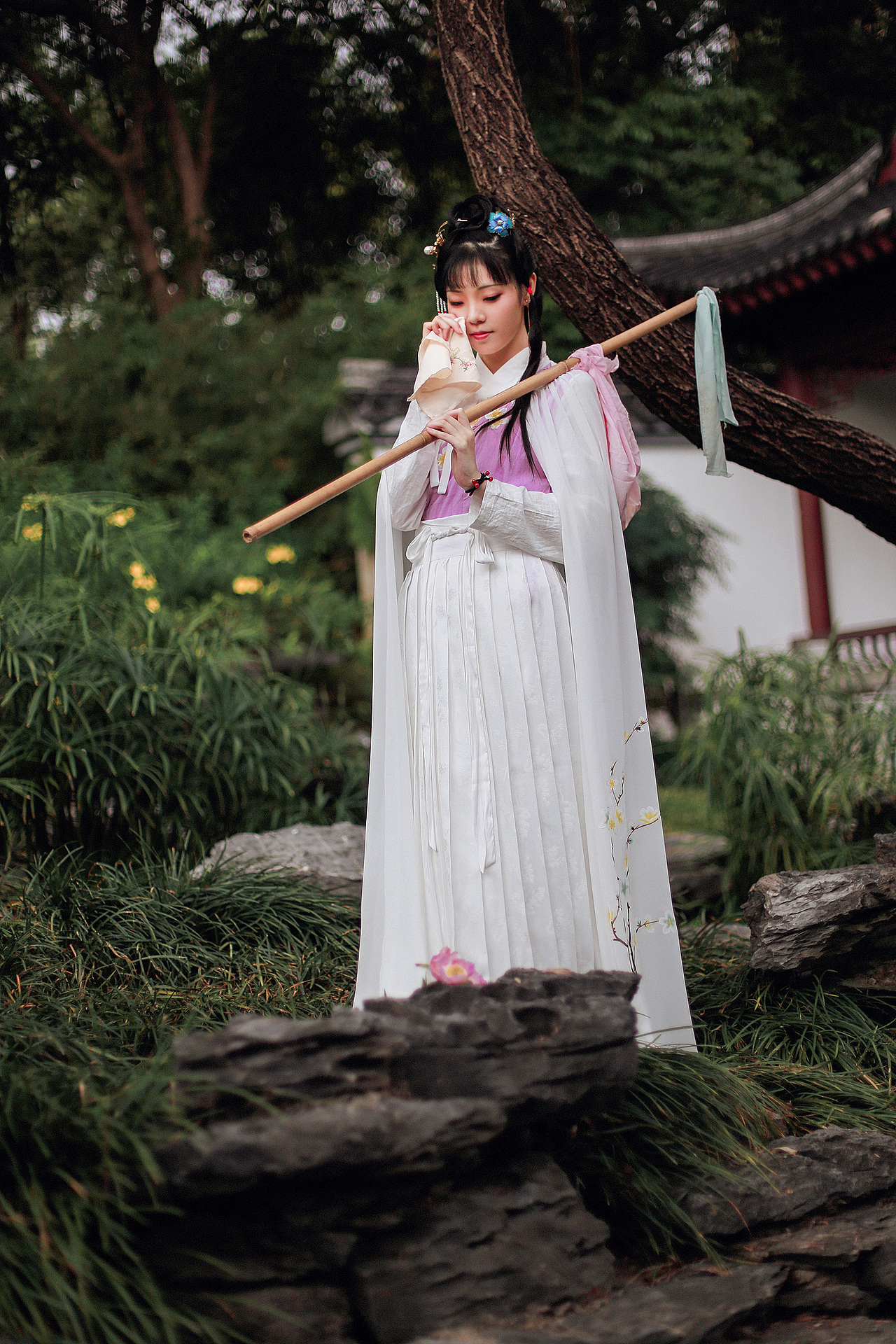 《金陵十二钗》之红楼梦