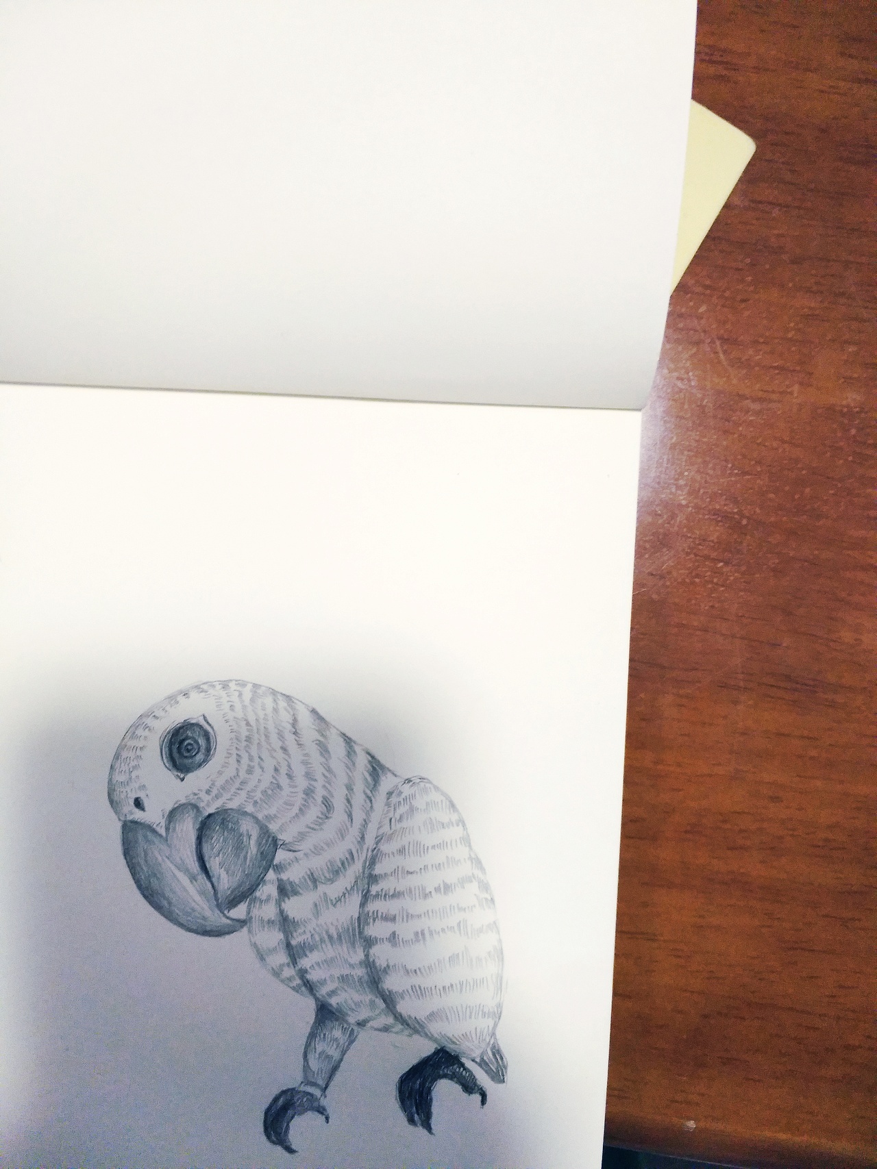 铅笔画（图ZMTI2Mzc3NjY0） - 其他 - 站酷设计师梦落落的插画小世原创素材 - 站酷ZCOOL