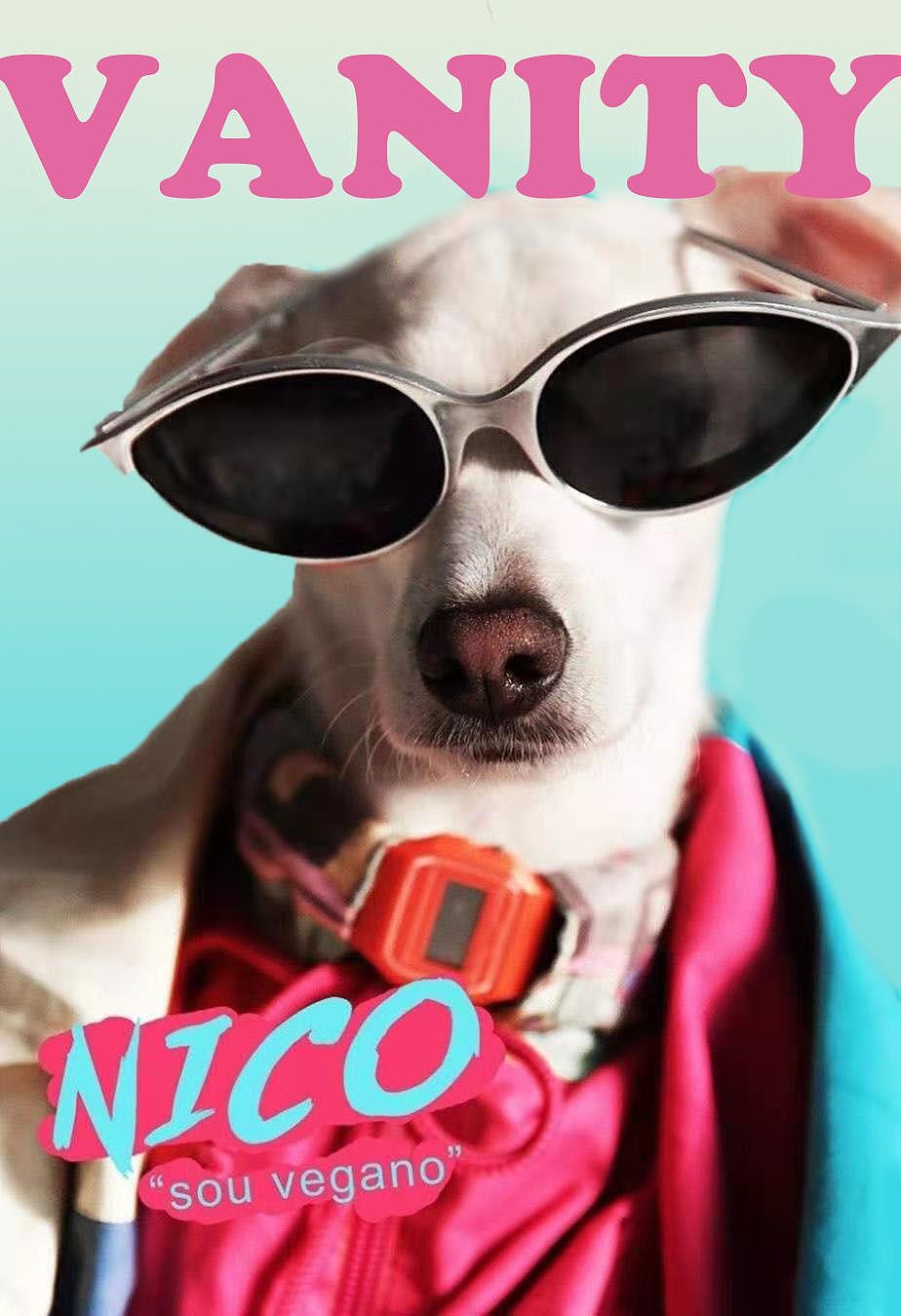 fashiondog杂志封面