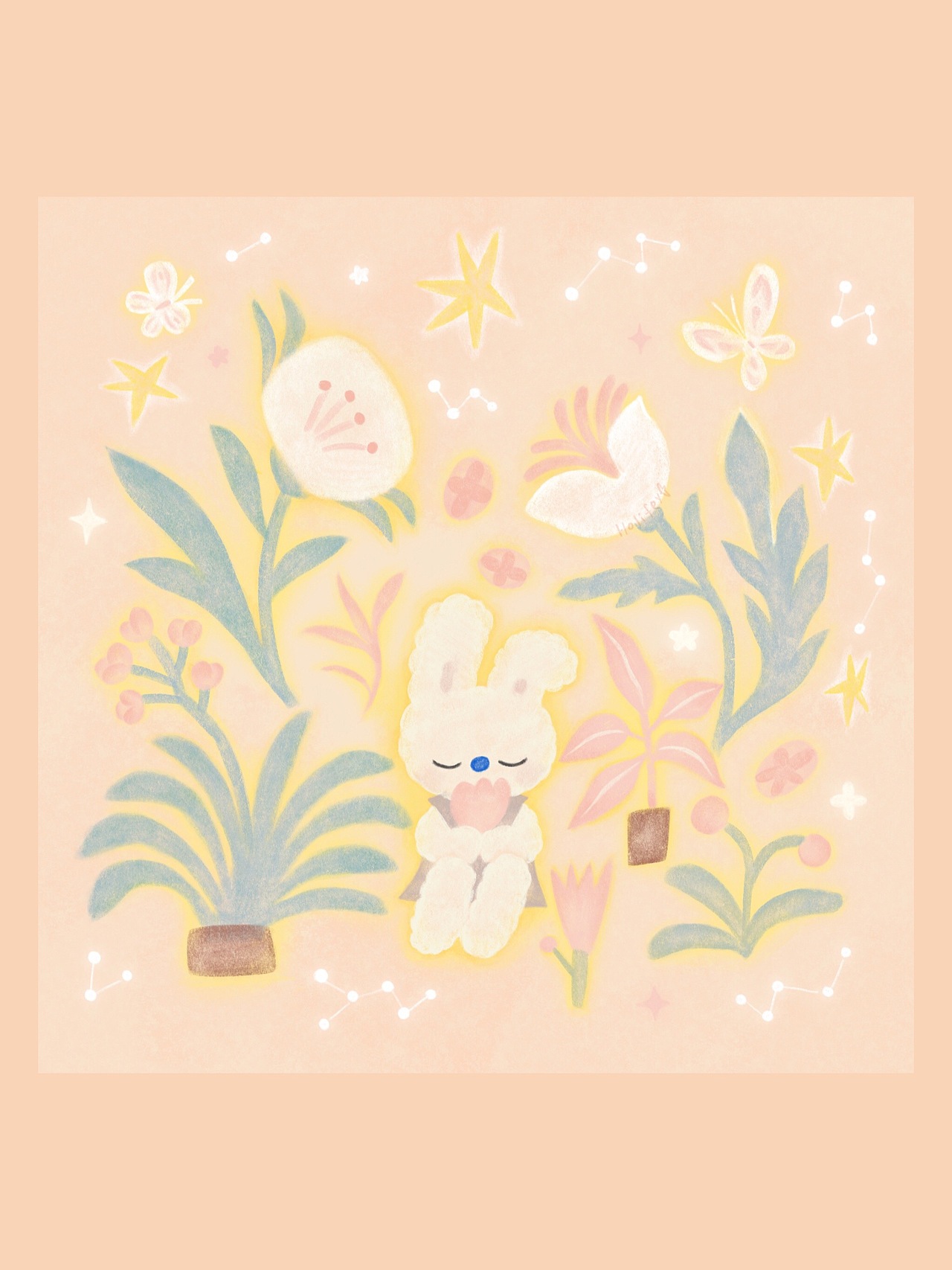 小灰灰日常更新✨