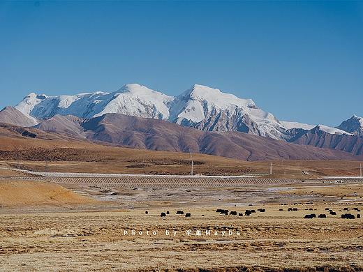 冬游西藏｜唐古拉山 纳木措 拉萨