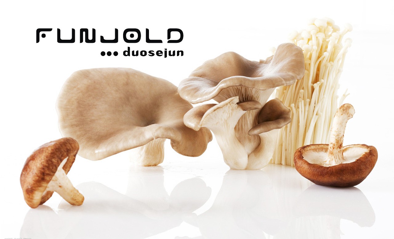 多色菌（图ZNTk5MjcyNzI=） - 其他平面 - 站酷设计师停道酬勤原创素材 - 站酷ZCOOL