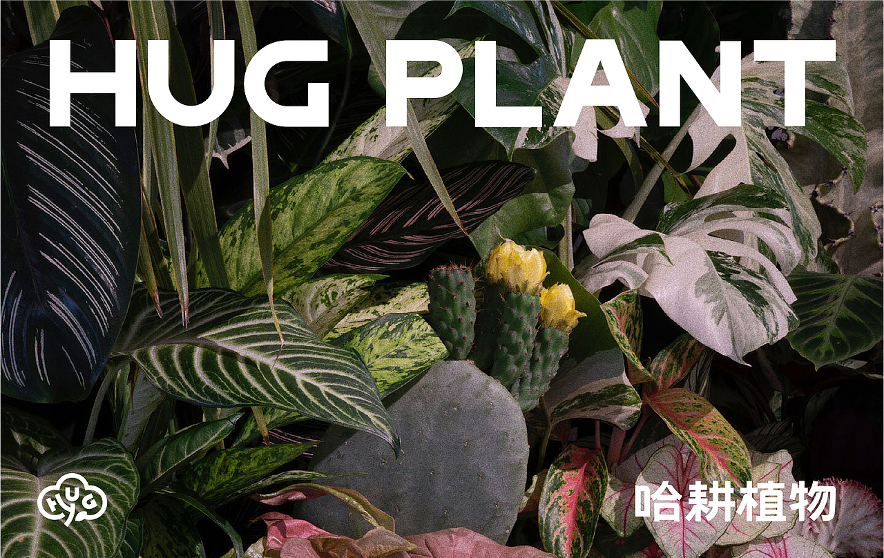 哈耕植物-品牌全案设计