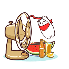 猫与熊之夏日大白